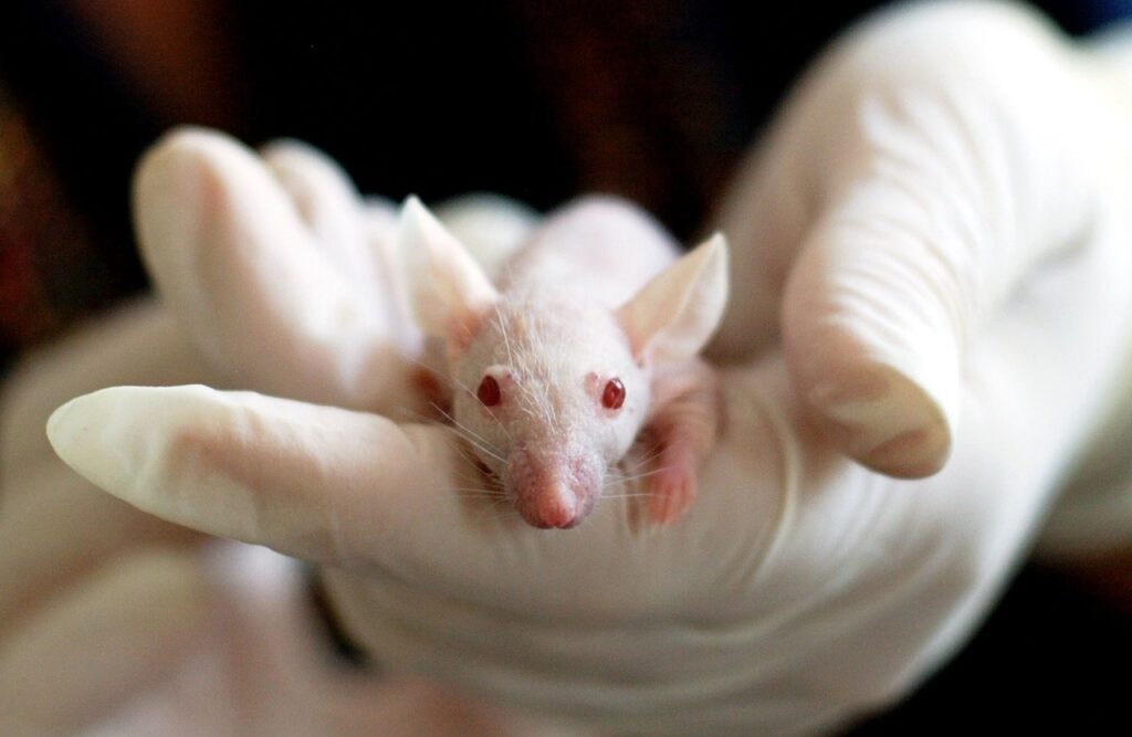 メンズの体臭に関する研究データはどのように公開されているのか？