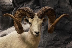 デオドラントスプレーのミストタイプはどんな効果があるの？
