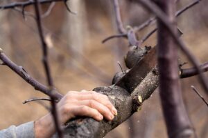ボトックスで汗臭を改善する効果はどれくらいあるのか？
