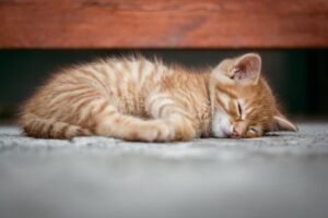 体臭対策と睡眠質を向上させるための方法は？