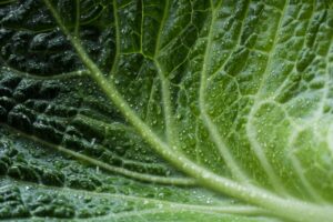 水分摂取が体臭に与える影響とは？