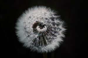 外出先での感染症対策にはどんな方法がある？